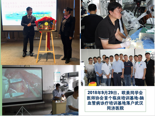 首个“欧美同学会医师协会脑血管病诊治临床技能培训基地”在武汉落户