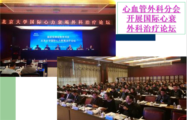 欧美同学会医师协会心血管外科分会