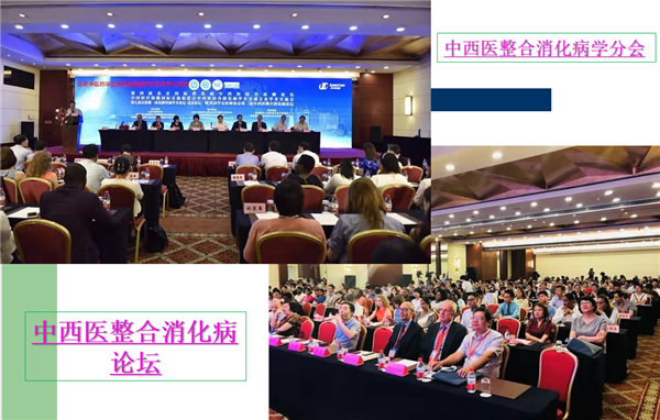 欧美同学会医师协会中西医整合消化病分会